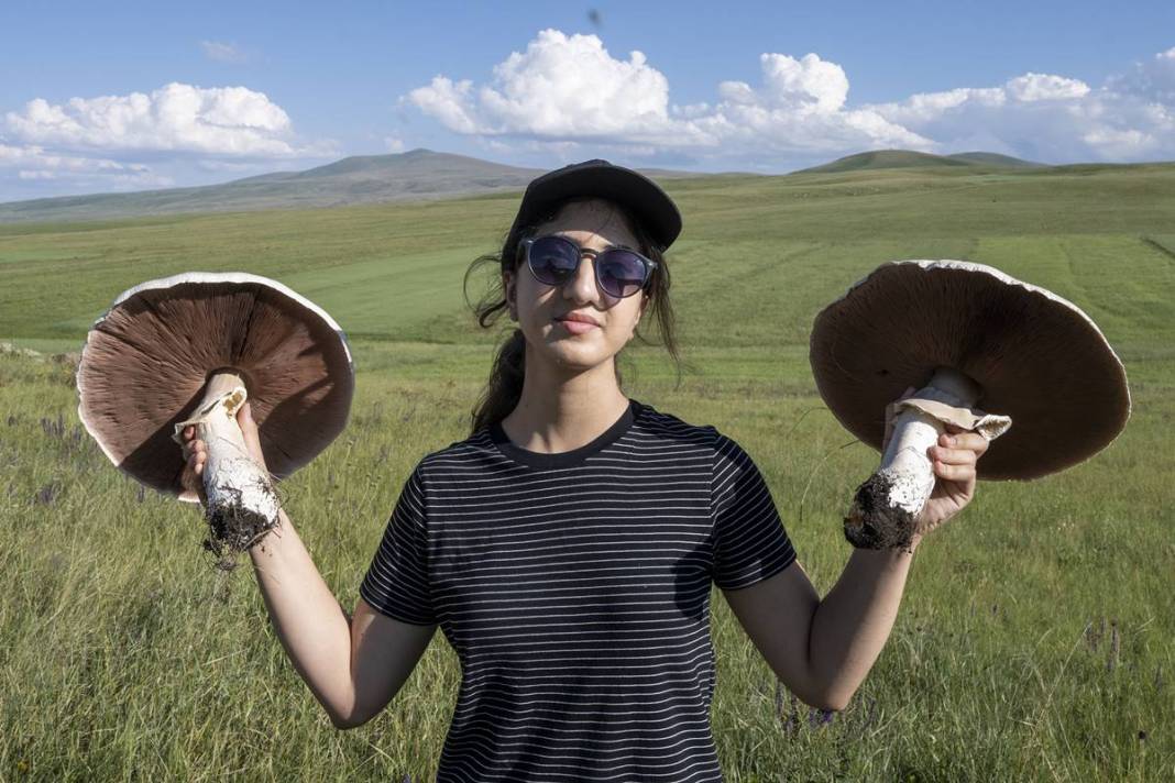 Yağmurdan sonra şaşırtan manzara: Böylesi görülmedi! 40 cm çapında, köylüler bile hayrete düştü 5